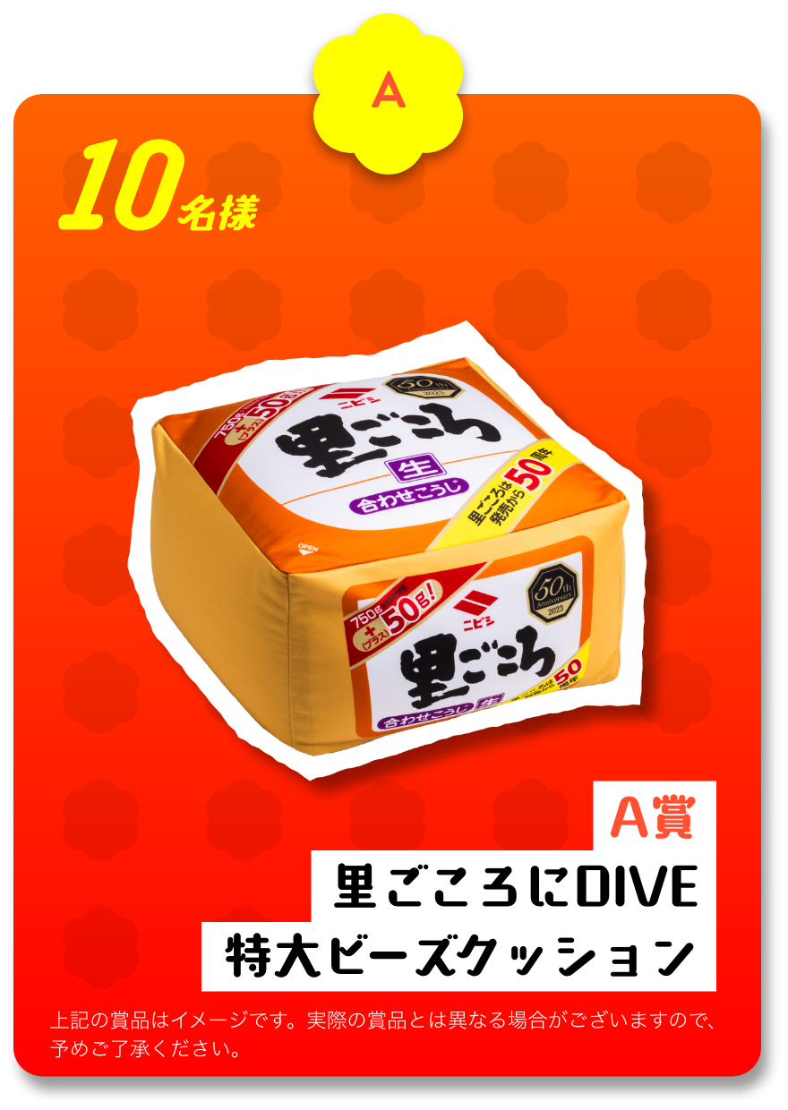 A賞 里ごころにDIVE特大ビーズクッション 10名様